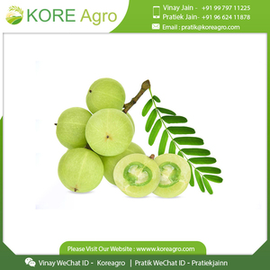 Amla-polvo indio de goosebberry, la mejor calidad, listo para exportarse, cantidad a granel - Product Image 6
