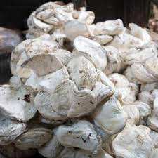 <b>Top</b> Grade High Quality <b>Latex</b> Rubber Raw Materials Cup Lump for Molding - Product Image 2