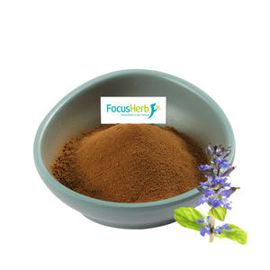 Focusherb ผงเทอร์โรน40% 1% Ajuga 2% อาหารสกัดจากพืช - Product Image 2