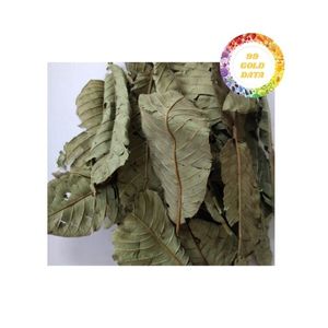 Té de Hoja de Guayaba Producido en Vietnam con Origen Directo de la Granja, Garantizando Material Botánico Seco y Limpio, Ideal para los Requisitos del Comprador - Product Image 1