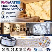 RAYMATES Lembar LED Putih Tipis 24V Baru yang Dapat Disesuaikan 2700-6500K Panel LED Fleksibel yang Dapat Dipotong Lampu Latar untuk Pencahayaan Arsitektur Kustom