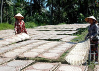 Papier de riz séché de haute qualité le plus vendu de l'usine du Vietnam pour adultes et enfants Hot Deal Akina