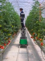Nouveau chariot à rail Seomak pour serres agricoles, tomates et légumes, électrique, à câble métallique, télécommandé, capacité de charge 0,5 tonne, 2