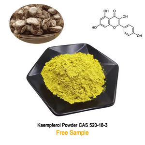 Fabriek Leveren Puur Natuurlijke <span class=keywords><strong>Kaempferia</strong></span> <span class=keywords><strong>Galanga</strong></span> Extract/Sophora Japonica Extract 98% Kaempferol Poeder - Product Image 3