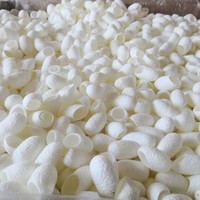 Cocon de soie naturel coupé du Vietnam, haute qualité, meilleur prix // Mme LAURA 84 896611913