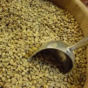 도매 Arabica 녹색 커피 콩을 가진 최고 자연적인 뜨거운 판매 베트남어 우수한 질 커피 콩