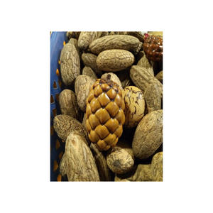 Semences Hookeri en vrac à vendre pour les acheteurs et les transformateurs agricoles internationaux - Product Image 4