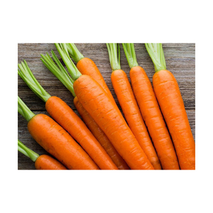 Carottes fraîches en gros pour supermarchés, restaurants et cuisines commerciales dans le monde entier - Product Image 2