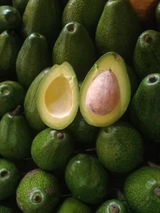อะโวคาโดสีเขียวสด ผลไม้สดทั้งลูก จำหน่ายส่งสำหรับร้านค้าปลีกและธุรกิจบริการอาหาร ผลไม้สด อะโวคาโด - Product Image 6