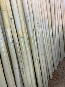 MEILLEUR PRIX POUR LE POLE EN BAMBOU PRÊT À EXPORTER EN GRANDE QUANTITÉ PRODUIT DE MEILLEURE QUALITÉ DU VIETNAM - Product Image 5