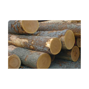 Cheap Price White <b>Oak</b> Firewood <b>Logs</b> and Wood Briquettes Energy Related Products on Sale - Product Image 1