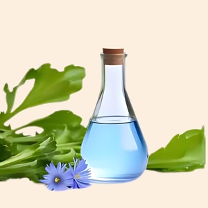 Envío gratis extracto líquido de achicoria soluble en agua | Suministro a granel | Grado cosmético - Product Image 1