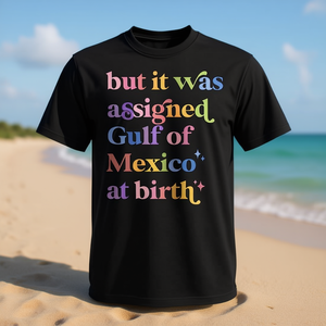 T-shirt promozionale con scritta 'Born in the Gulf of Mexico' - Product Image 3