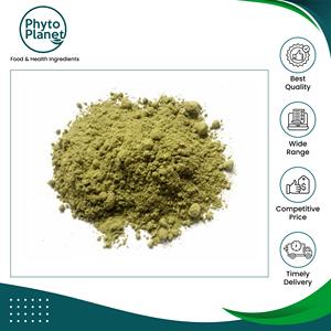 Nouvel arrivage en stock : Poudre d'avocat séchée par pulvérisation 100 % naturelle, qualité supérieure, de qualité alimentaire, issue de culture courante, à vendre - Product Image 2