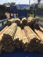 Venta al por mayor de postes de bambú tratados y secos, vallas para exteriores, bastones de bambú grandes, decoraciones de jardín para construcción de bambú nulgar