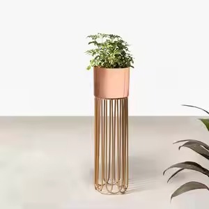 Venta caliente nuevo diseño maceta de oro con soporte para el hogar sala de estar y jardín uso precio al por mayor en macetas y jardineras - Product Image 5