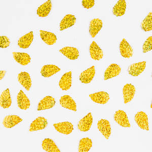 Lentejuelas Forma Especial Agujeros De Dos Caras Color Holográfico, Selanusa - Product Image 1