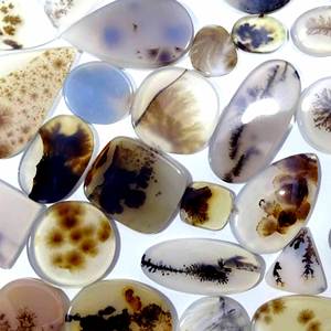 Vente en gros de cabochon en agate dendritique Shazar Agate dendritique Shazar de qualité supérieure en forme de mélange de pierres précieuses en vrac pour la fabrication de bijoux - Product Image 1