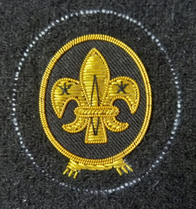 Parches bordados hechos a mano personalizados para el logotipo de la ropa, insignias de uniformes cosidas con decoración de lentejuelas hechas de tela - Product Image 3