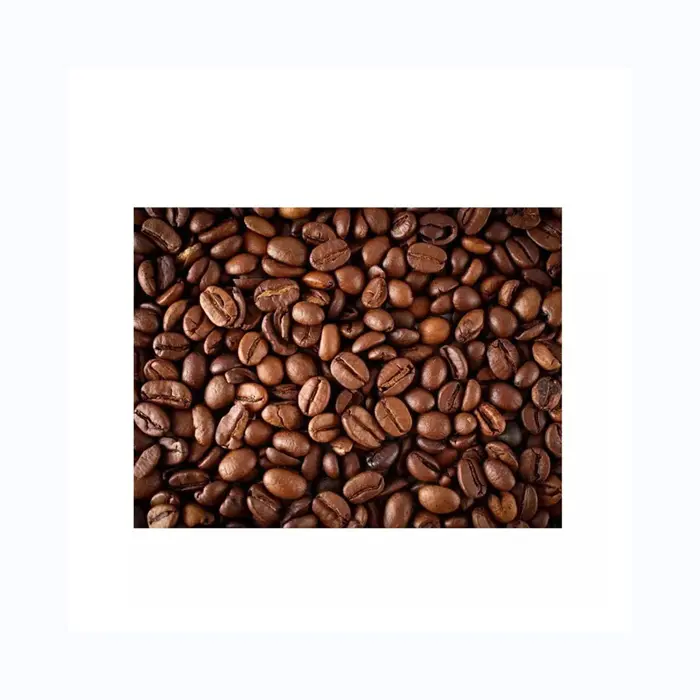 Arabica özel karışımı kavrulmuş kahve çekirdekleri toptan yüksek kaliteli kahve çekirdeği kahve için 95% vade Robusta kahve çekirdekleri ile