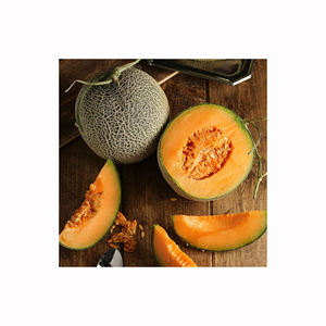 Melón musk dulce, fresco, cultivado en granja, fruta madura aromática, alta calidad, compradores al por mayor, grado de exportación, producto tropical - Product Image 2