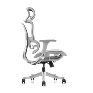 Ergonomic với thắt lưng hỗ trợ Ergonomic lưới văn phòng xoay Ghế bàn văn phòng - Product Image 5