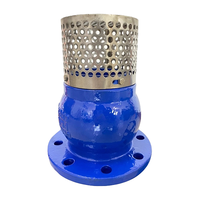 Clapet anti-retour à pied à bride PN16 à bas prix avec crépine en acier inoxydable clapet anti-retour d'incendie à pied de filtre de haute qualité