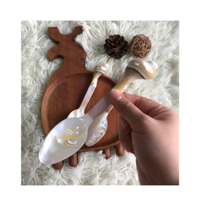 ช้อนเปลือกหอยทำมือจากเปลือกหอยทะเลธรรมชาติสำหรับใช้บนโต๊ะอาหาร จำหน่ายจำนวนมาก - Product Image 4