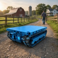 Plataforma de Transporte Hidráulica Pequeña con Control Remoto, Bajo Ruido, para Logística de Huertos y Granjas, Personalizable OEM