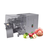 Automatische perzik-mango-appel schilmachine fruit- en groenteschilmachine