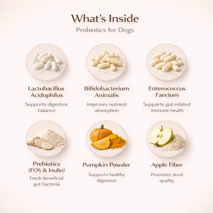 OEM Pet Probiotics Chewable <b>Tablets</b> <b>for</b> Cats & Dogs-High-<b>Protein</b> Organic Intestinal Care Allergy Relief & Immune Support - Product Image 4