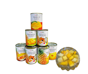 PRIX DE GROS Usine du Vietnam Cocktail en conserve Ananas Mangue Gelée de noix de coco 20oz/30z/A10 - Product Image 2