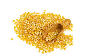 Maíz amarillo de primera calidad para consumo humano y animal - Product Image 3