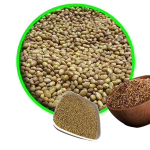 Berseem Clover | Demanda anual en cadenas de suministro de piensos - Product Image 3