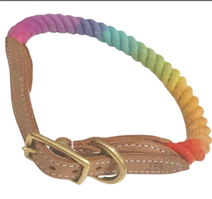 Collar de perro de cuero verde de alta calidad para galgo y Whippet - Product Image 2