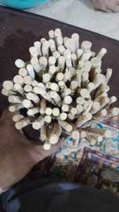 ผลิตภัณฑ์สุขอนามัยช่องปากแบบปากีสถานสำหรับใช้อเนกประสงค์แห้งจาก Peelu Miswak สดและแห้ง - Product Image 4