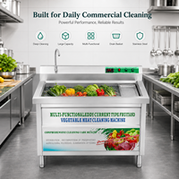 Eddy Current Fruit- en groentewasmachine, roestvrijstalen spoelbakwasser voor restaurantkeuken, rechtstreeks van de fabriek