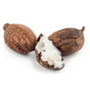 Organic Shea <b>Butter</b> for Body Use - Product Image 1