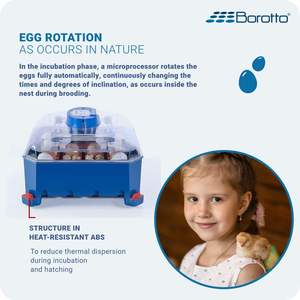 Lumia ตู้ฟักไข่16ฟองสีฟ้าผลิตในอิตาลีตัวควบคุมอุณหภูมิเครื่องฟักไข่ - Product Image 4