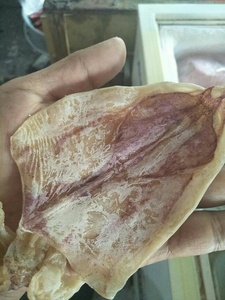 Seiche à moitié séchée pour calmar râpé Snack Calmar séché Grande taille Goût sucré Délicieux Emballage 1kg Fabriqué au Vietnam - Product Image 2