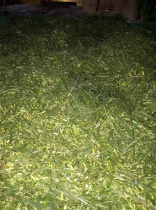 หญ้าห่านแห้งหญ้าห่านแห้งขนาด8ออนซ์หญ้าห่านแห้งทำความสะอาดหญ้าห่านแห้งออกแบบได้ตามต้องการ - Product Image 6