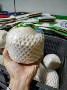 Noix de coco jeunes et fraîches de Ben Tre, Vietnam - Durée de conservation de 60 jours - Product Image 4