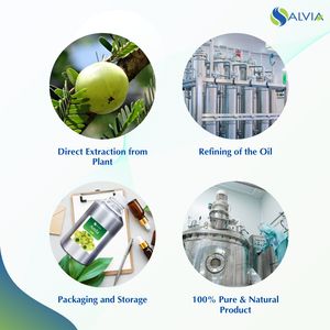 Aceite Amla 100% puro y natural al por mayor a granel precio más bajo embalaje personalizado - Product Image 4