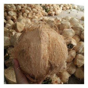 มะพร้าวสดผู้ใหญ่100% ธรรมชาติจากเวียดนามมะพร้าวกึ่งเปลือกพรีเมียมที่อุดมไปด้วยรสชาติลูกอมกับมะพร้าวกึ่งเปลือก - Product Image 2