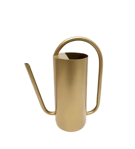 Regadera de metal Diseño contemporáneo Regadera de galón minimalista para macetas Macetas Lata Venta de agua caliente a bajo precio - Product Image 4