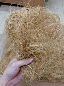 Gracilaria seca/Algas Gracilaria de Vietnam/Sra. Kate - Product Image 4