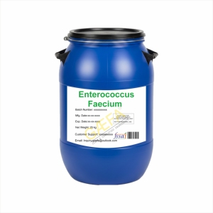 Enterococcus Faecium en Polvo IN;34648 - Product Image 1
