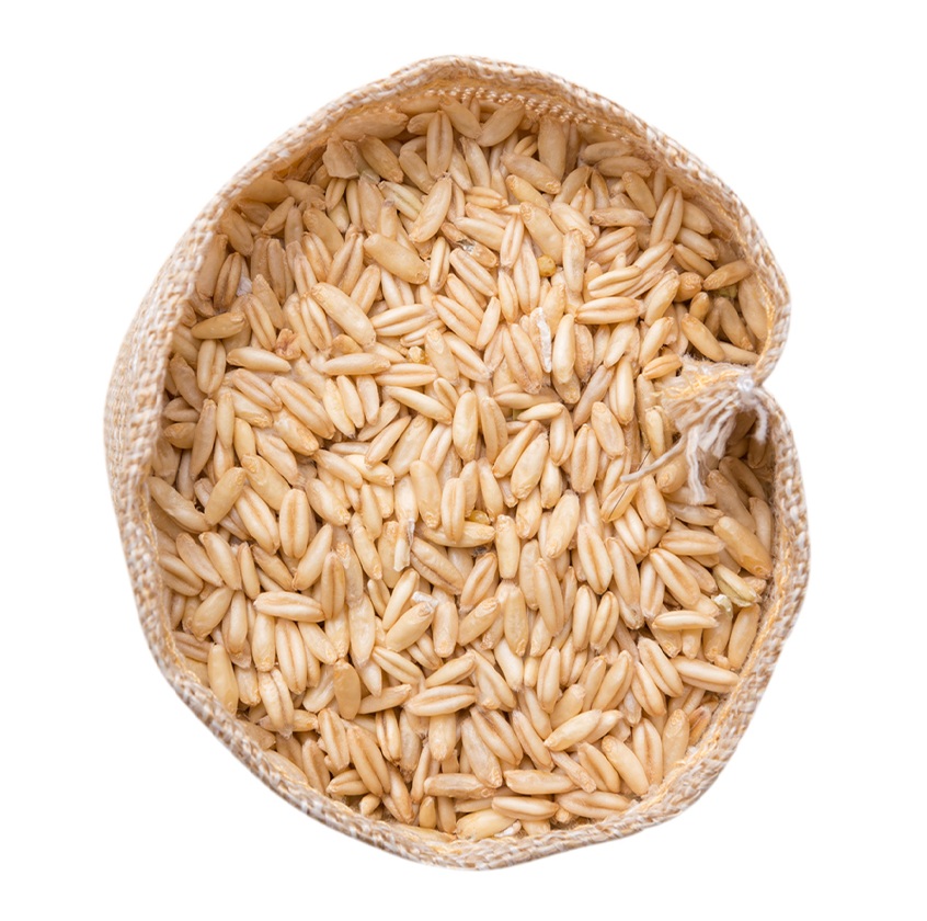 High Quality Organic Dried Whole Oats Grain Pure Natural Cheap Wholesale Price 50kgs Bag
