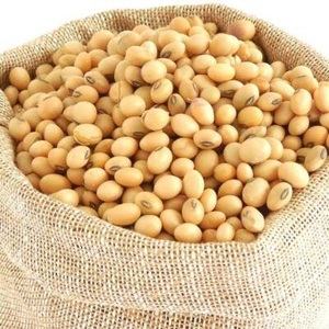 ถั่วเหลืองปลอดจีเอ็มโอ ราคาจากฟาร์ม - Product Image 5