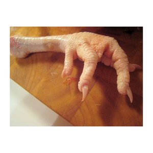Pattes de poulet congelées d'origine brésilienne pieds de poulet congelés en gros emballage en vrac - Product Image 3